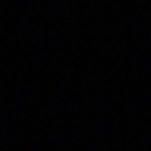 Meet your Posher, Josie